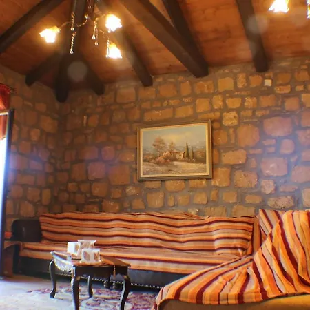 Aelia Synikia Mesi Trikalon