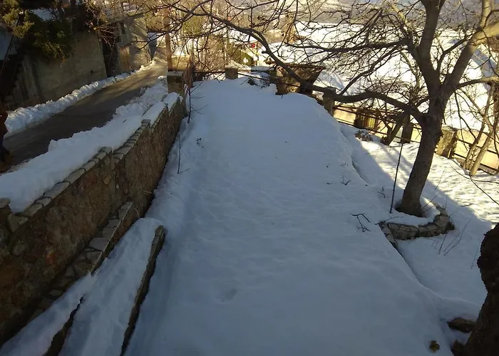 Aelia Synikia Mesi Trikalon