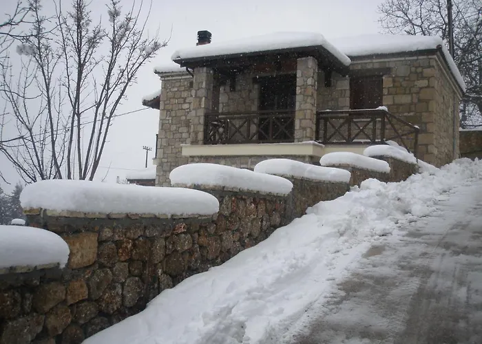 Aelia * Synikia Mesi Trikalon