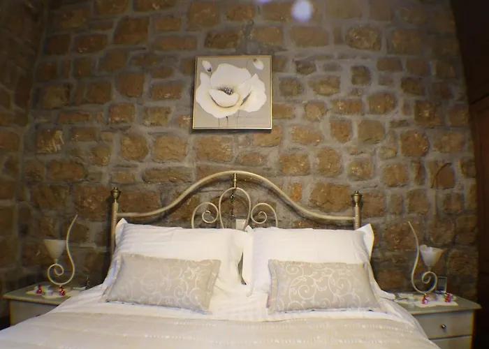 Aelia Synikia Mesi Trikalon