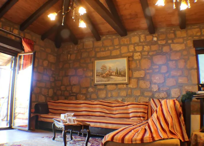 Aelia Synikia Mesi Trikalon